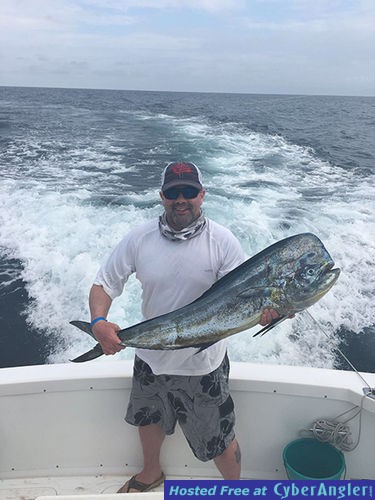 mahimahi