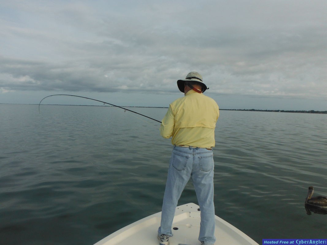 Click to Enlarge Photo