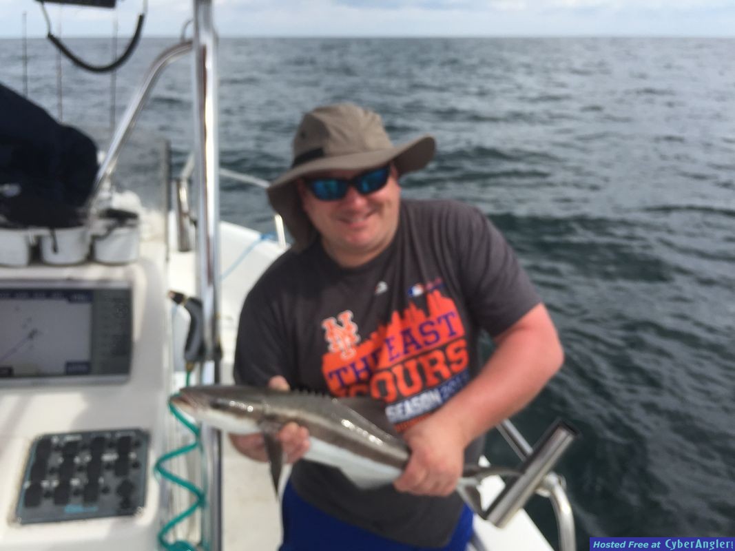 Cobia