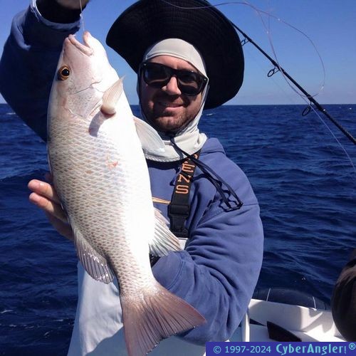 Click to Enlarge Photo