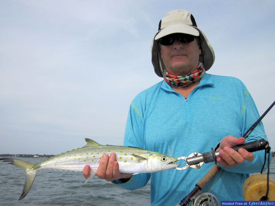 Click to Enlarge Photo