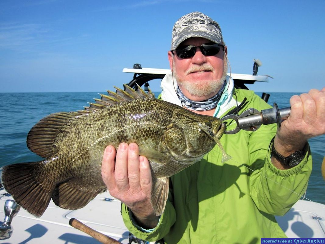 Click to Enlarge Photo