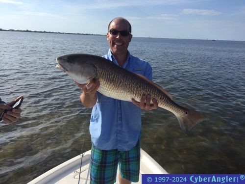 Click to Enlarge Photo