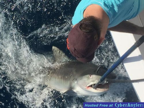 Click to Enlarge Photo