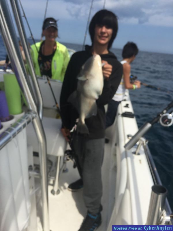 Trigger Fish