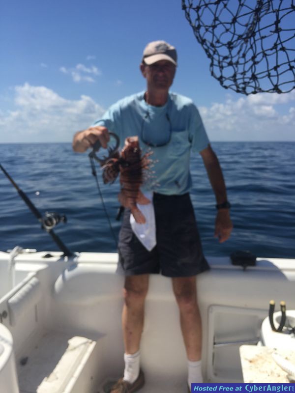 Lion Fish