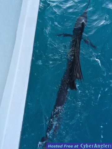 Fishing Charters in Ft. Lauderdale mid March
