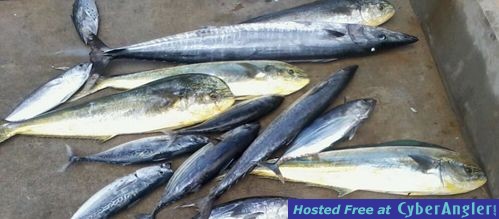 Click to Enlarge Photo