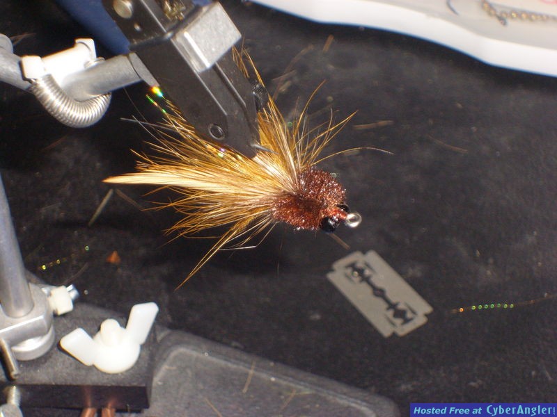 Redfish toad tied by Capt. Joe Costadura!