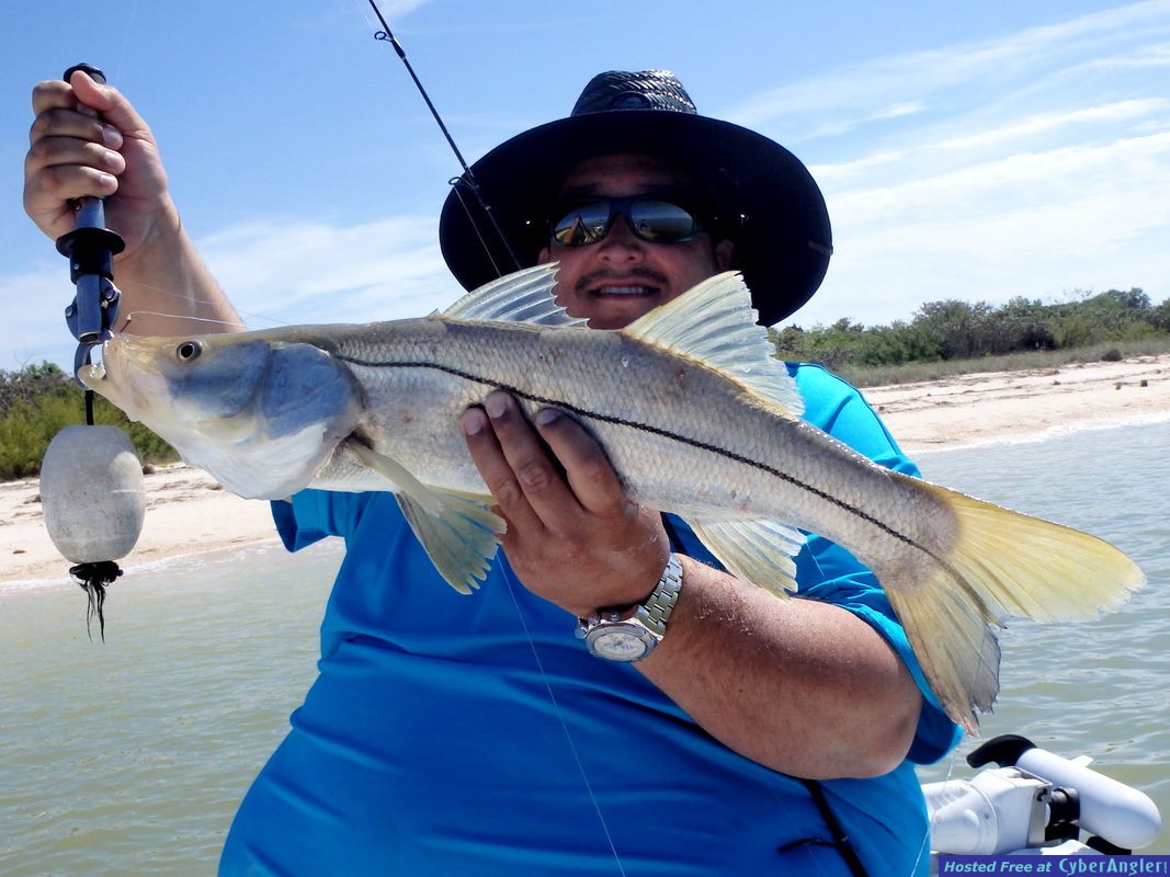 Click to Enlarge Photo