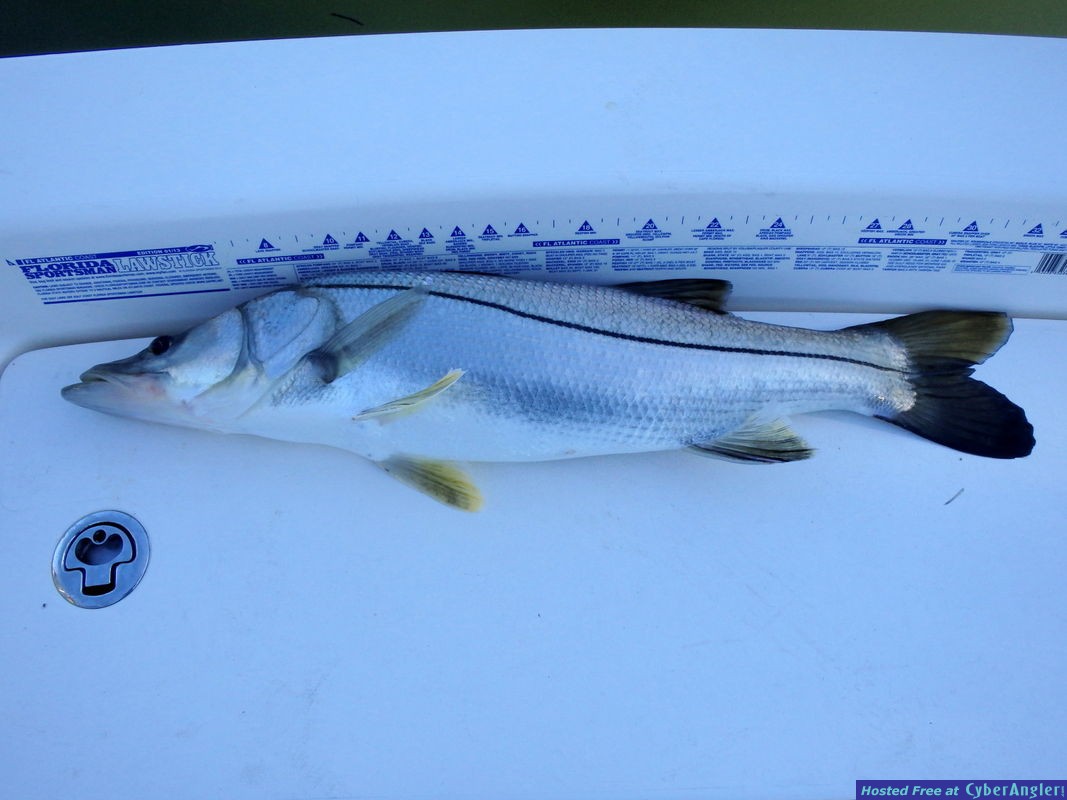 Click to Enlarge Photo