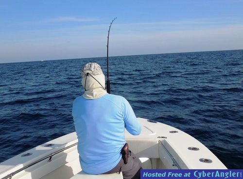 Click to Enlarge Photo