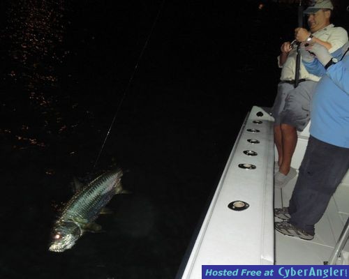 Click to Enlarge Photo