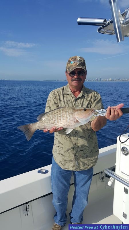 Click to Enlarge Photo