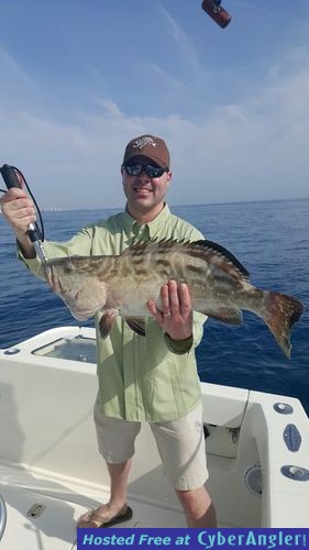 Click to Enlarge Photo