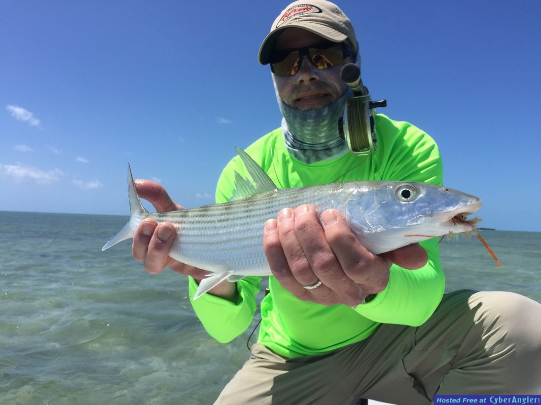 Key West Bonefish