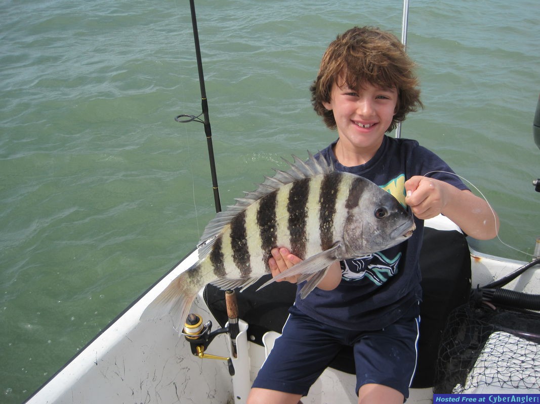 19-inch sheepshead