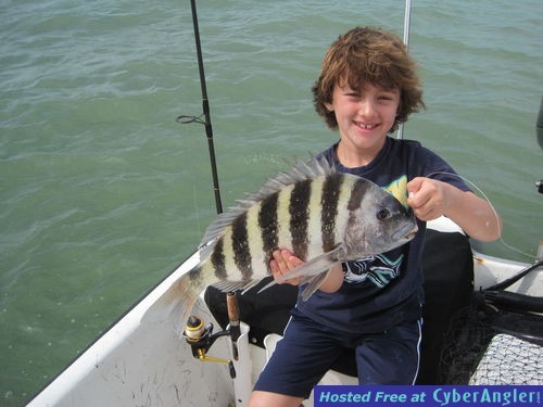 19-inch sheepshead