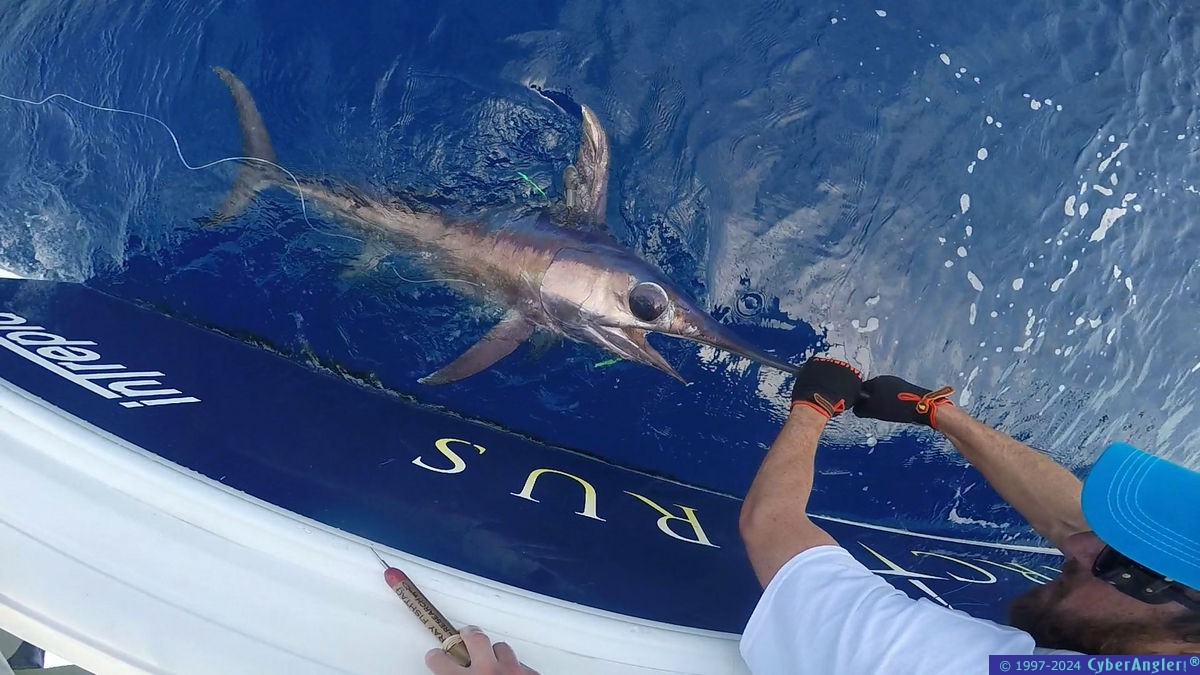 Click to Enlarge Photo