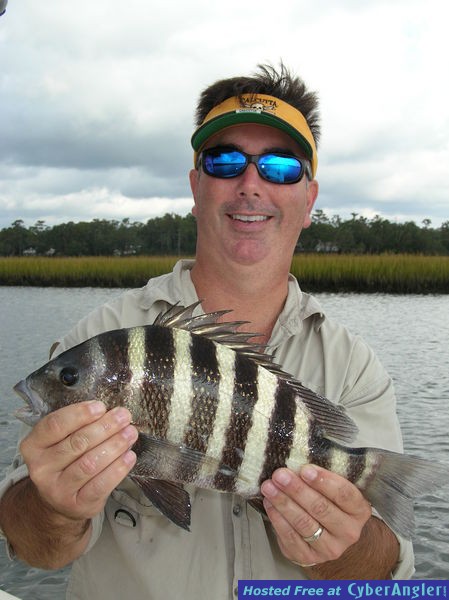Sheephead