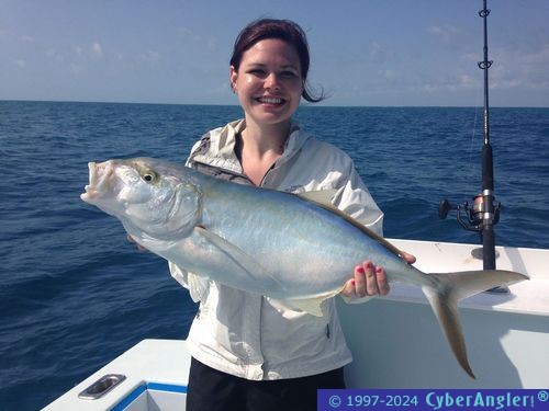 Click to Enlarge Photo