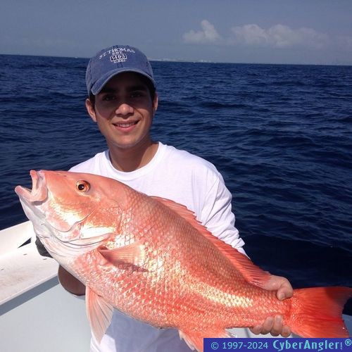 Click to Enlarge Photo