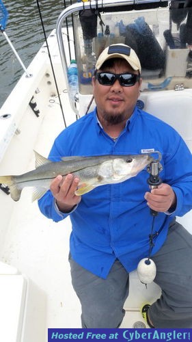 Click to Enlarge Photo