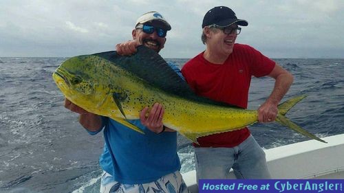 Nice mahi-mahi