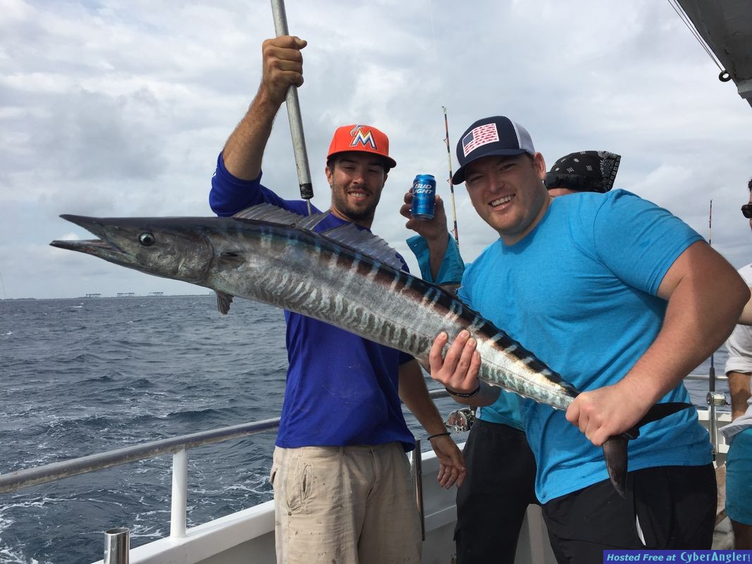 Wahoo