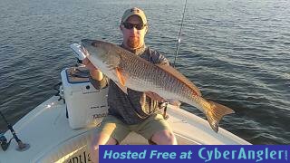 Click to Enlarge Photo