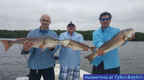 Click to Enlarge Photo