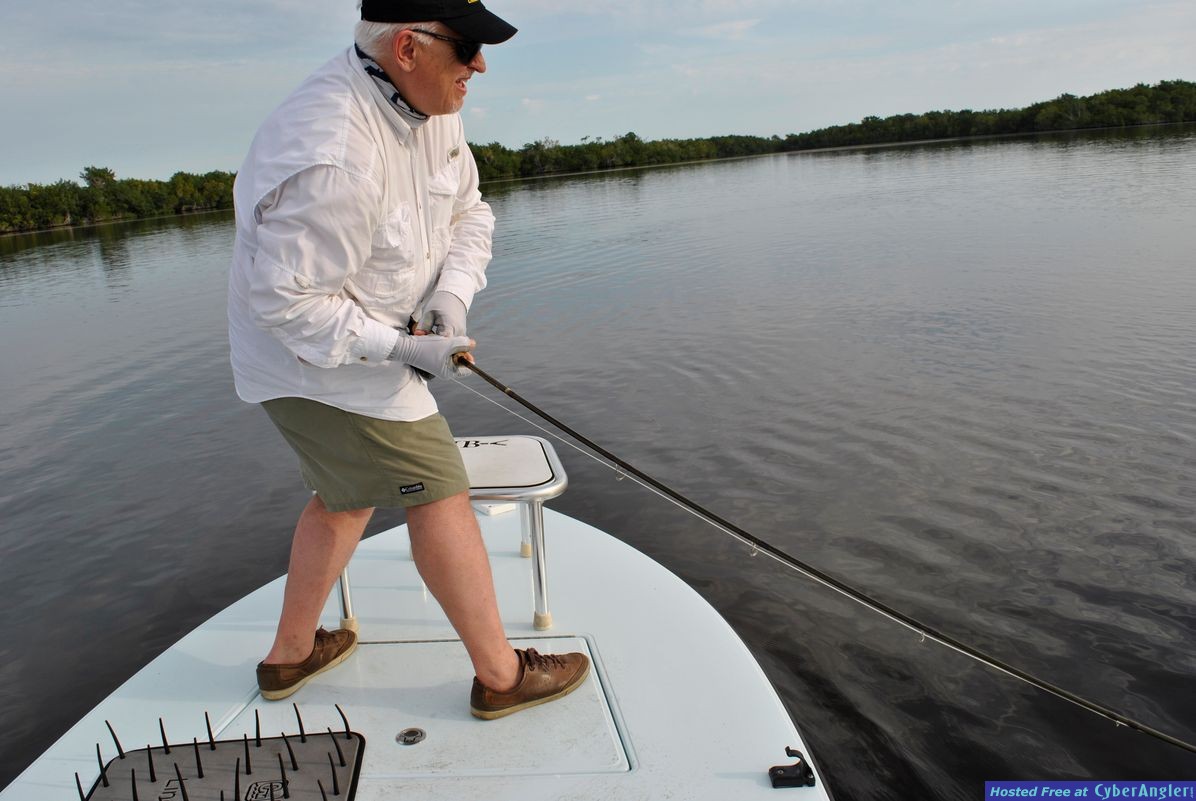 Fighting_tarpon1