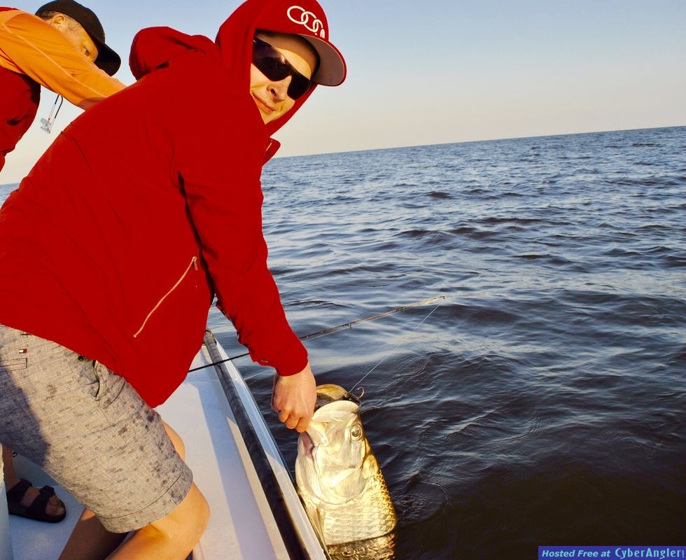 Tarpon15