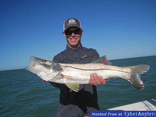 27.5-inch snook released