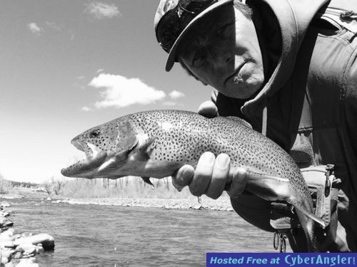 Click to Enlarge Photo