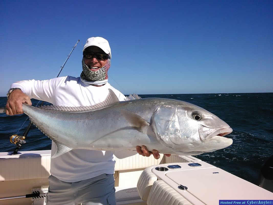 Amberjack