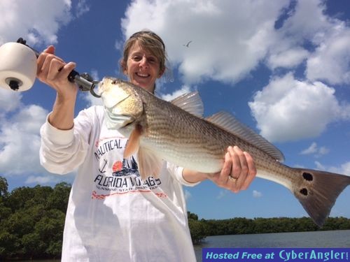 Bobbi's Redfish