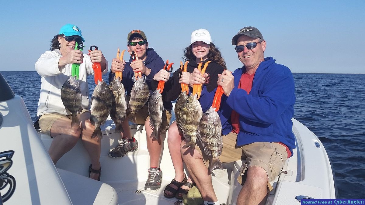 Sheepshead