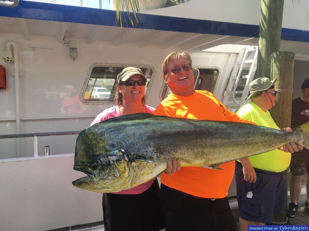 Big bull dolphin caught sportfishing