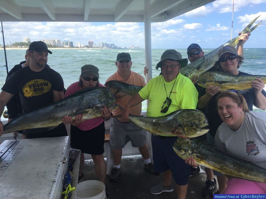 Great dolphin fishing in Fort Lauderdale