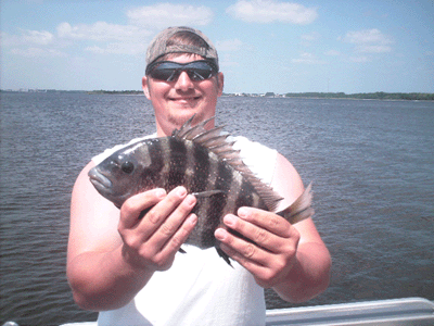 Click to Enlarge Photo