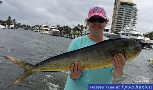 Click to Enlarge Photo