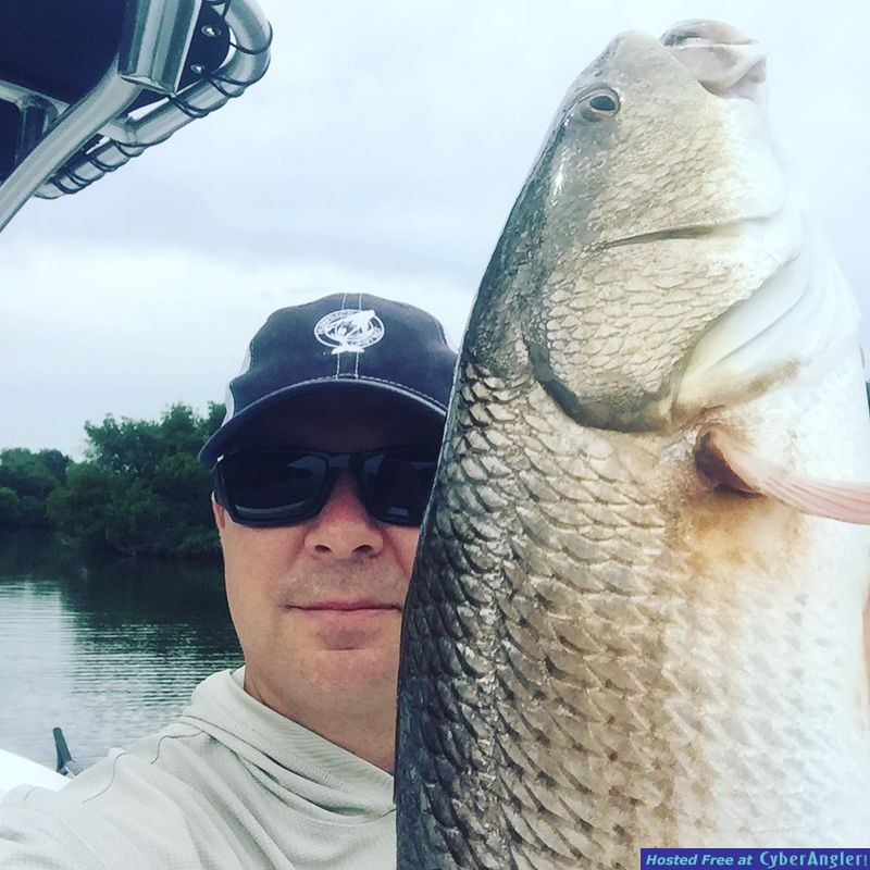 Redfish