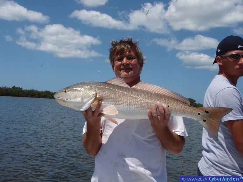 Big Tampa bay redfish!