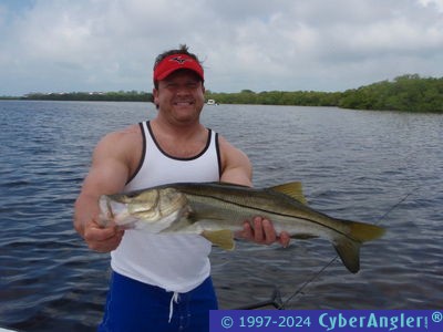 Click to Enlarge Photo