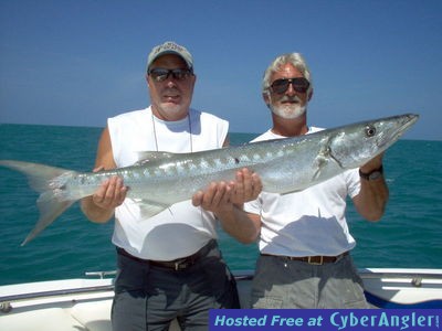 40 lb barracuda