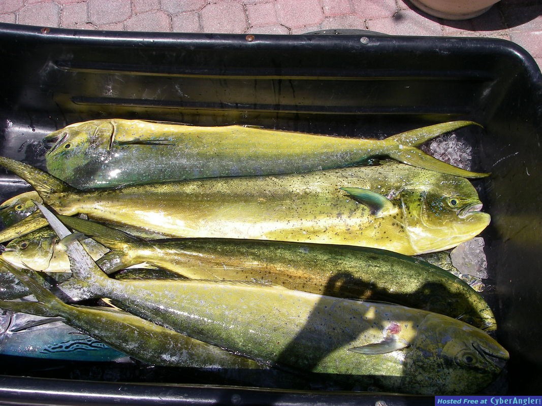 IMGP0048