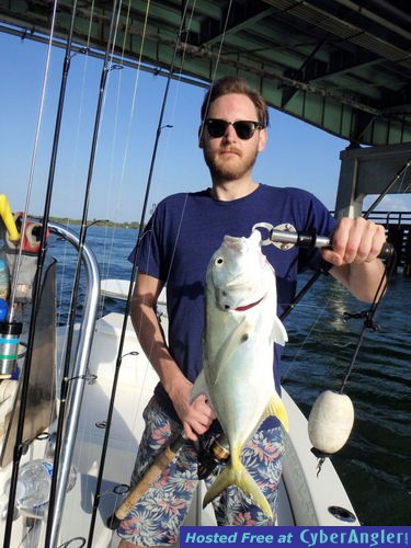 Click to Enlarge Photo