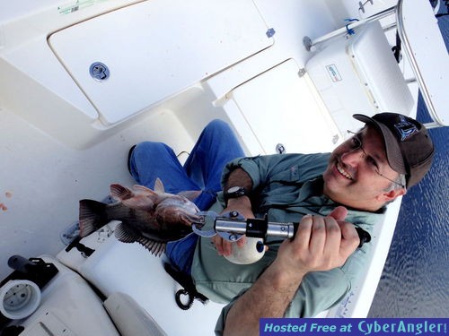 Click to Enlarge Photo