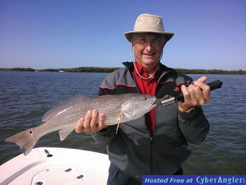 Redfish